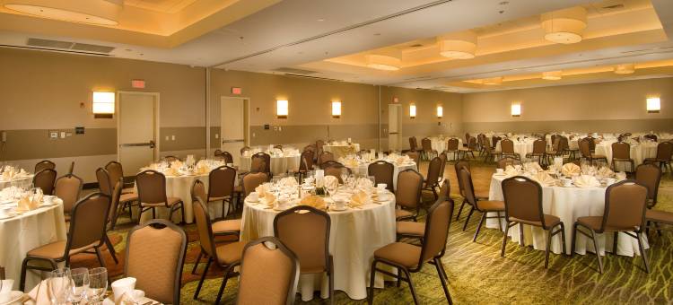 斯特林杜勒斯机场希尔顿逸林酒店(DoubleTree by Hilton Dulles Airport - Sterling)图片