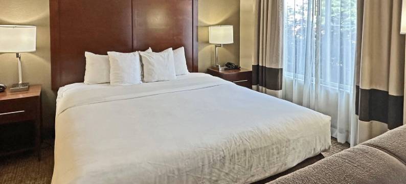 康科德市洲际套房酒店(Concord Suites by IHG)图片