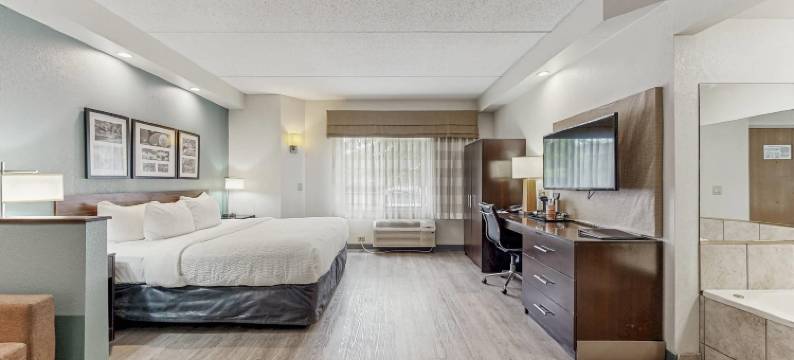 布法罗机场舒眠套房酒店(Sleep Inn & Suites Buffalo Airport)图片