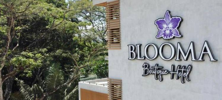 布鲁玛精品酒店及犹太餐厅(Blooma Boutique Hotel & Kosher Restaurant)图片