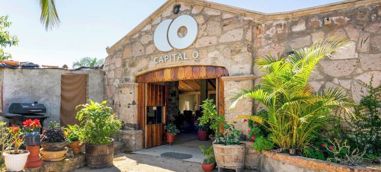 首都 O 瓜达拉哈拉特瑞萨西葡特色住宿酒店(Capital O Hotel Posada Terraza, Guadalajara)图片