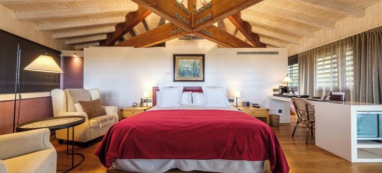 马斯拉博埃亚酒店(Hotel Mas la Boella)图片