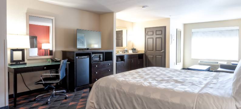 Holiday Inn 欧申赛德码头(Holiday Inn OCEANSIDE CAMP PENDLETON AREA by IHG)图片