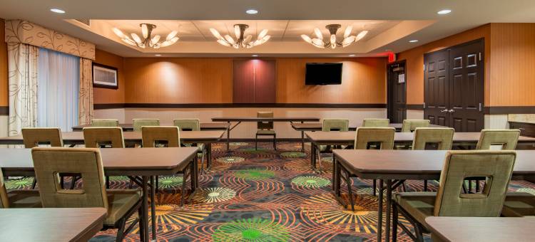 智选假日套房酒店霍布斯(Holiday Inn Express & Suites Hobbs)图片