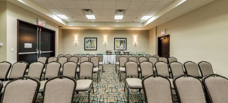 Holiday Inn & Suites 埃德蒙顿国际机场(Holiday Inn & Suites Edmonton Arpt - Conference Ctr)图片