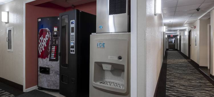 密苏里斯普林菲尔德红屋顶酒店(Red Roof Inn Springfield, MO)图片