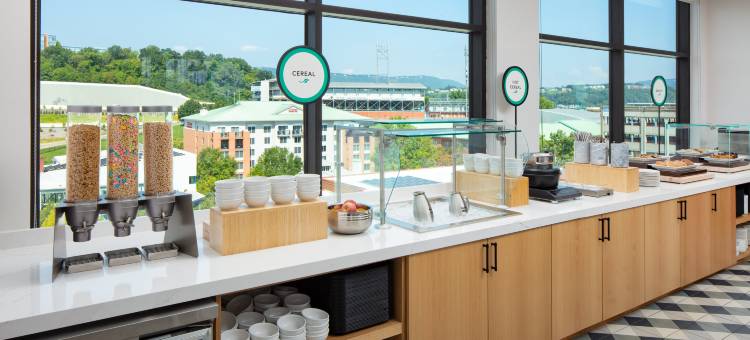 查塔努加市中心希尔顿惠庭套房酒店(Embassy Suites by Hilton Chattanooga Downtown)图片