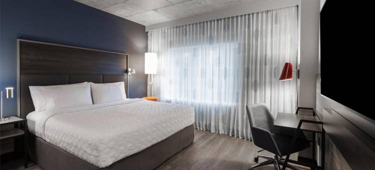 Tru by Hilton 蒙特利尔市中心(Tru by Hilton Montreal Centre-Ville)图片