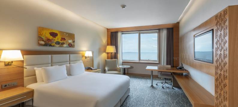 巴库假日酒店(Holiday Inn BAKU by IHG)图片