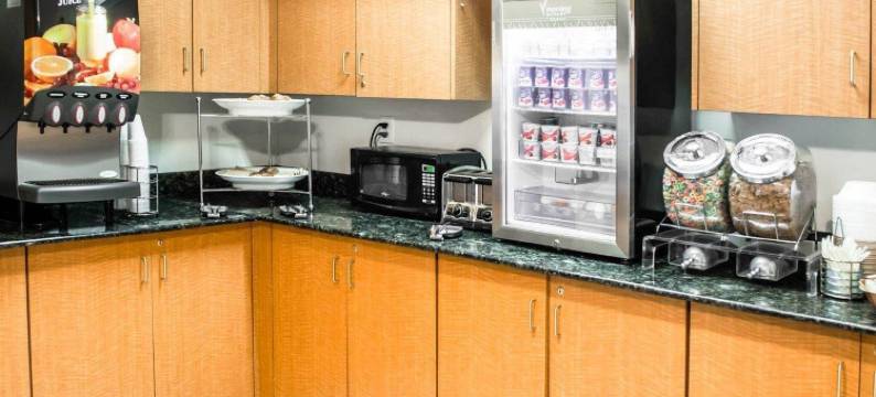 史东尼溪-圣彼得堡南舒眠套房酒店(Sleep Inn & Suites Stony Creek - Petersburg South)图片