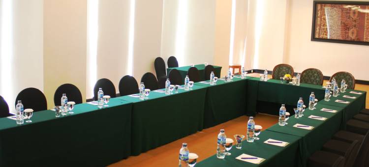 巨港半岛酒店(Sintesa Peninsula Hotel)图片