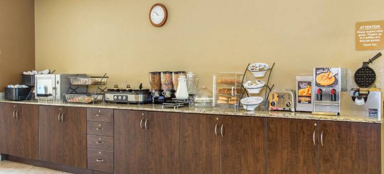 珠江斯-莱德尔温德姆麦客达套房酒店(Microtel Inn & Suites by Wyndham Pearl River/Slidell)图片