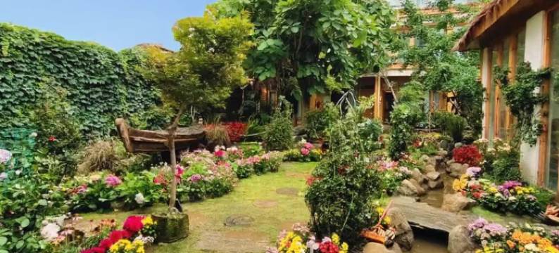 江油花影小舍民宿图片