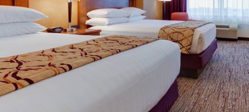 西德梅茵德鲁里套房酒店(Drury Inn & Suites West des Moines)图片