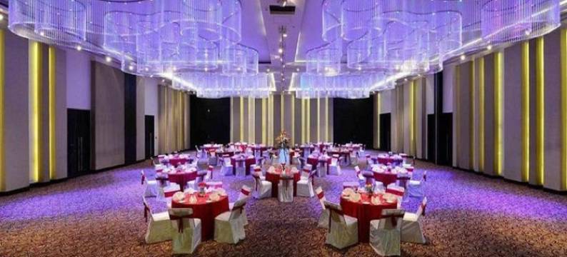 拉普萨亚吉酒店(Sayaji Raipur)图片