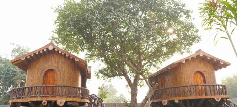 JYOTI RESORT JOYPUR图片