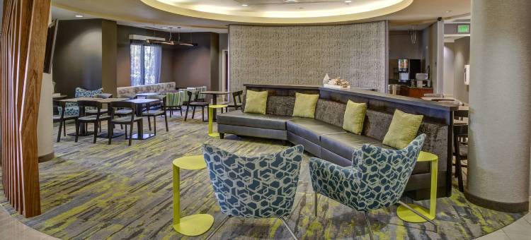 那不勒斯万豪SpringHill酒店(SpringHill Suites Naples)图片