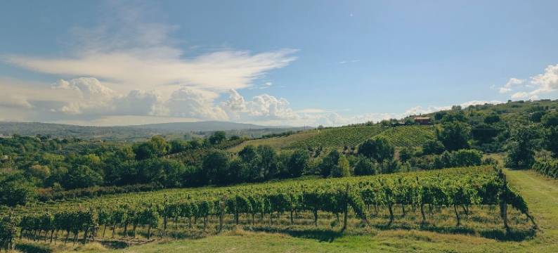 农家乐卡萨莱1921(Agriturismo Casale 1921)图片