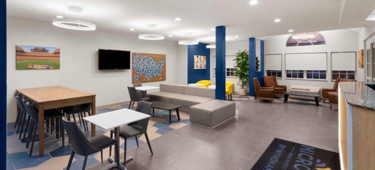 巴吞鲁日机场麦客达温德姆酒店及套房(Microtel Inn & Suites by Wyndham Baton Rouge Airport)图片
