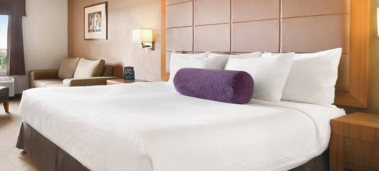 卡尔加里机场温德姆戴斯酒店(PRAIRIE CREST CALGARY AIRPORT by IHG)图片