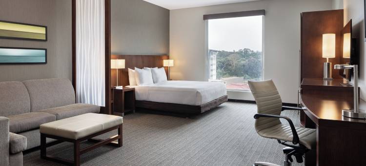 圣何塞皮纳雷斯凯悦嘉轩酒店(Hyatt Place San Jose Pinares)图片