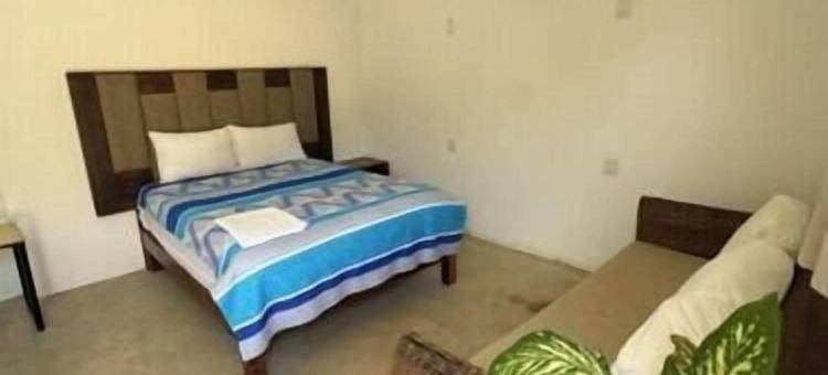 冲浪巢旅舍(SurfNest Hostel)图片