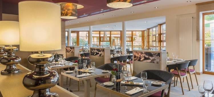 佛莱堡多林特温泉酒店(Dorint Thermenhotel Freiburg)图片
