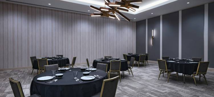 达拉斯拉斯科琳娜源宿酒店(Element Dallas Las Colinas)图片