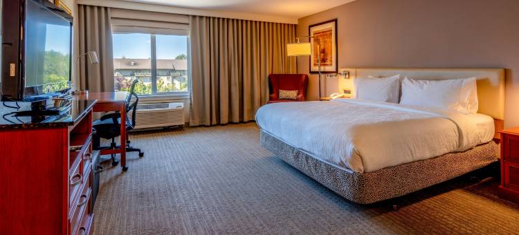 伦顿西雅图希尔顿花园酒店(Hilton Garden Inn Seattle/Renton)图片