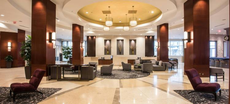 罗利市中心万豪酒店(Raleigh Marriott City Center)图片