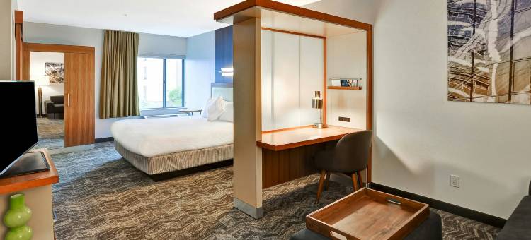哥伦比亚SpringHill Suites酒店(SpringHill Suites by Marriott Columbia Fort Meade Area)图片