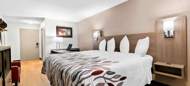 哈里斯堡北红屋顶酒店(Red Roof Inn Harrisburg North)图片