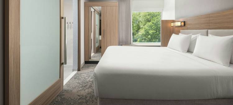 麦迪逊菲奇堡SpringHill Suites酒店(SpringHill Suites by Marriott Madison Fitchburg)图片