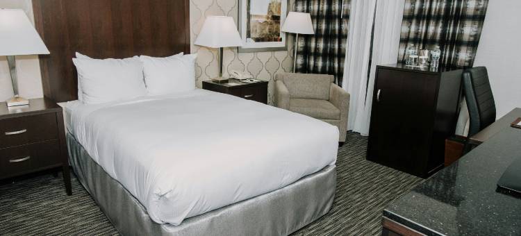 底特律迪尔伯恩希尔顿逸林酒店(DoubleTree by Hilton Detroit - Dearborn)图片