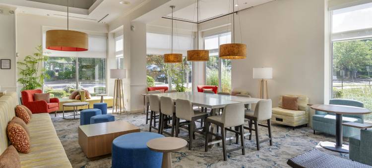 希尔顿花园酒店-亚特兰大东北/格威内特舒格洛夫(Hilton Garden Inn Atlanta NE Gwinnett Sugar Loaf)图片