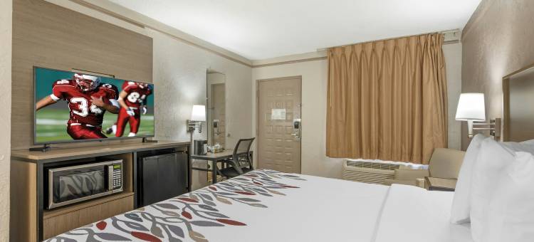 圣彼得堡坦帕湾红顶酒店(Red Roof Inn Tampa Bay - St. Petersburg)图片