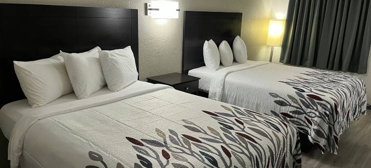 田纳西 I-24 金博尔红屋顶汽车旅馆(Red Roof Inn Kimball, TN - I-24)图片