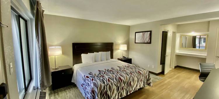 图森市中心大学红顶酒店(Red Roof Inn Tucson Downtown - University)图片