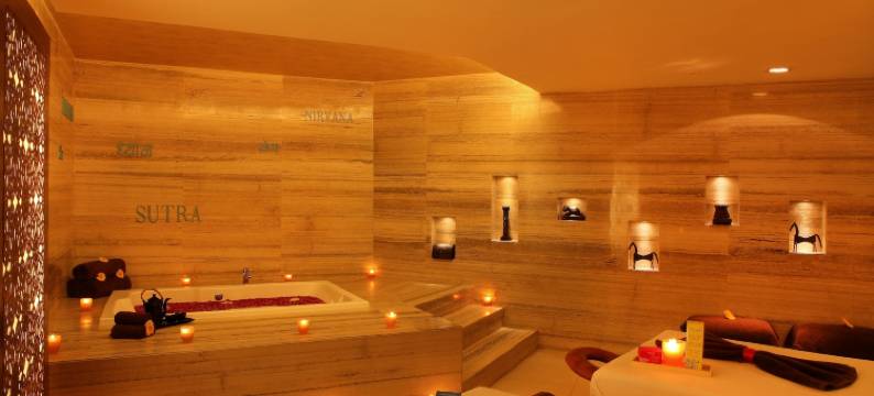 大都会酒店及水疗中心(The Metropolitan Hotel & Spa New Delhi)图片