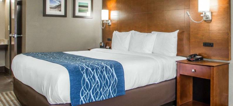 哈蒙德I-94舒适酒店(Comfort Inn Hammond I-94)图片