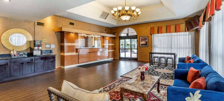 南湾贝斯特韦斯特优质酒店(Best Western Plus South Bay Hotel)图片