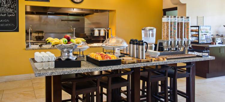 瓦伦西亚六旗希尔顿花园酒店(Hilton Garden Inn Valencia at Six Flags)图片