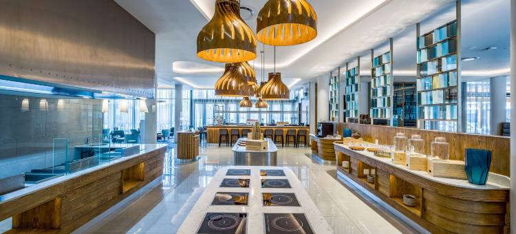 拉迪森酒店及会议中心-奥利弗·坦博机场(Radisson Hotel and Convention Centre OR Tambo Airport)图片