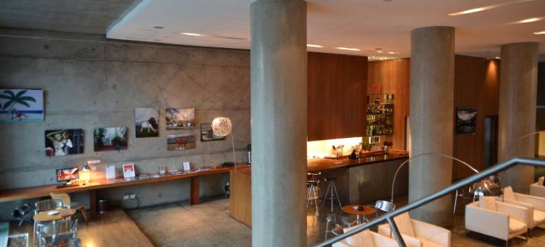 萨尔塔设计型套房酒店(Design Suites Salta)图片