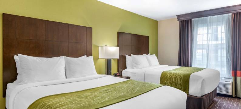 圣迭戈老城舒适酒店(Comfort Inn San Diego Old Town)图片