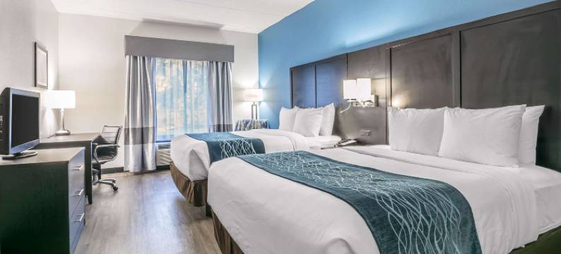 盖恩斯维尔大学舒适酒店(Comfort Inn University)图片