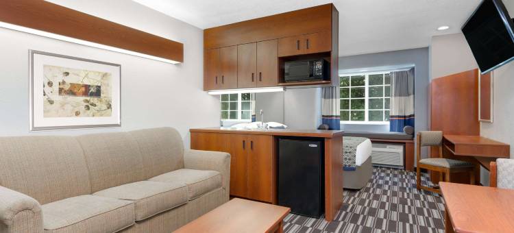 Microtel Inn & Suites by Wyndham Bremen图片