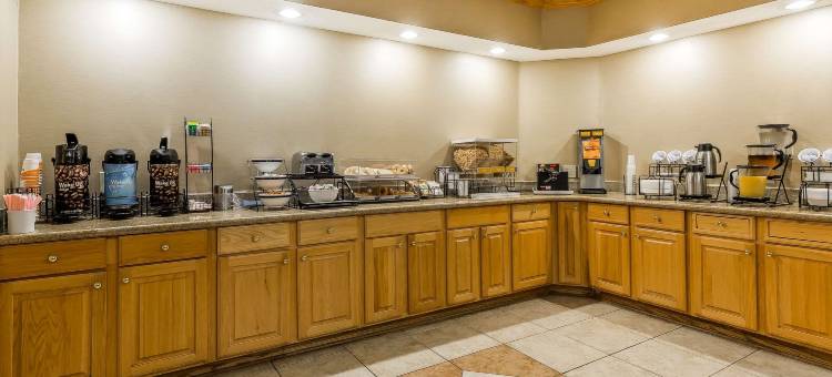 米沙瓦卡-南本德舒适套房酒店(Comfort Inn & Suites Mishawaka-South Bend)图片