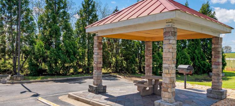 拜伦华纳罗宾斯舒适套房酒店(Comfort Suites Byron Warner Robins)图片