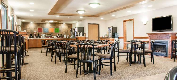 舒适酒店(Comfort Inn)图片